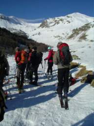 081124_A_siamo in 35.JPG